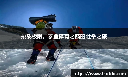 挑战极限，攀登体育之巅的壮举之旅