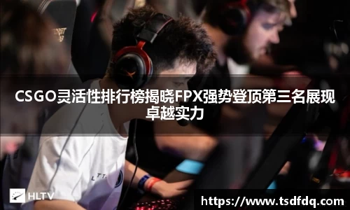 CSGO灵活性排行榜揭晓FPX强势登顶第三名展现卓越实力
