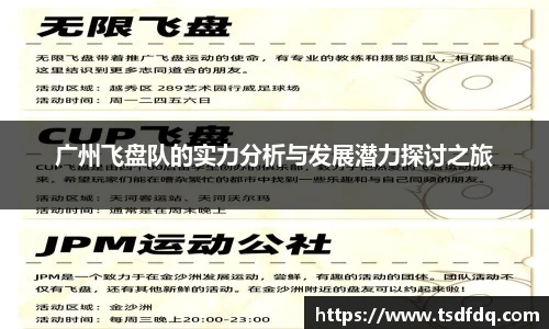 广州飞盘队的实力分析与发展潜力探讨之旅