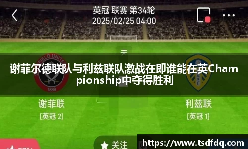 谢菲尔德联队与利兹联队激战在即谁能在英Championship中夺得胜利